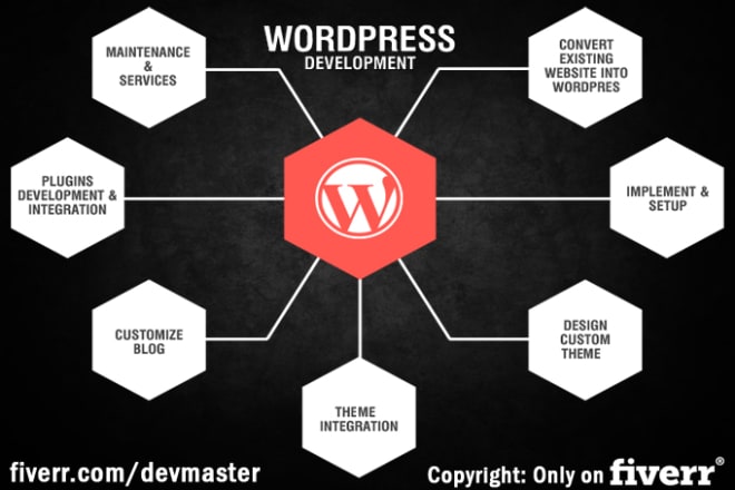 I will develop high quality wordpress website