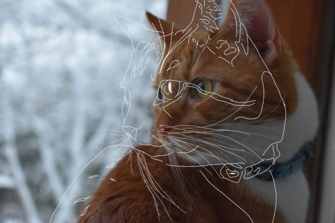 I will digitally draw over your photograph