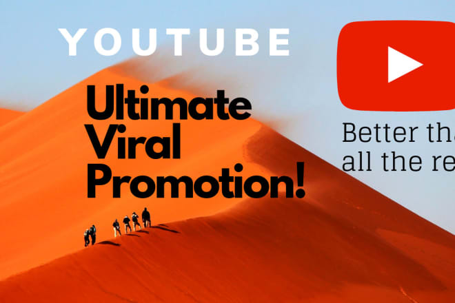 I will do a massive organic youtube promotion for your video