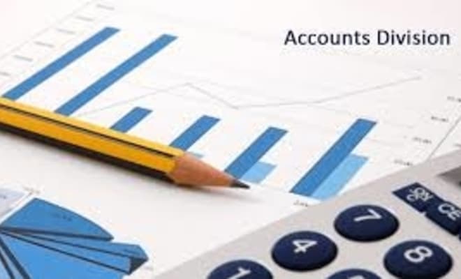 I will do accounts and finance assignments