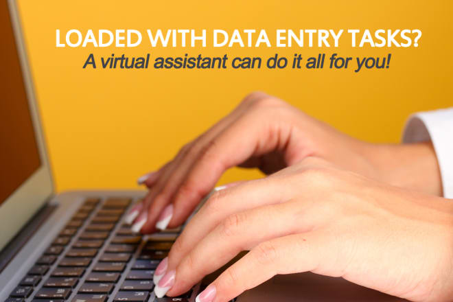 I will do any data entry job you need