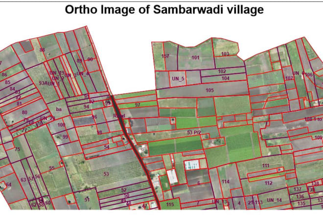 I will do cadastral map digitization and vector trace in gis