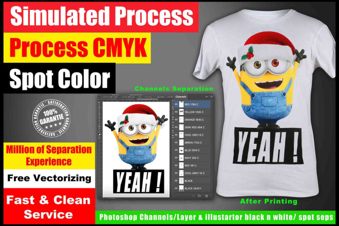 I will do color separation for screen print within 12 hrs