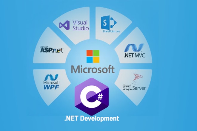 I will do csharp custom projects