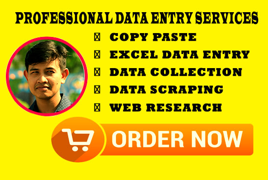 I will do data entry, copy paste, web research, web scraping and excel data entry