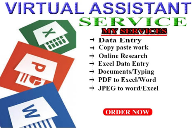 I will do data entry job