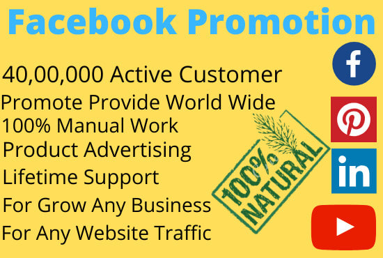 I will do facebook marketing, ads campaign, advertising