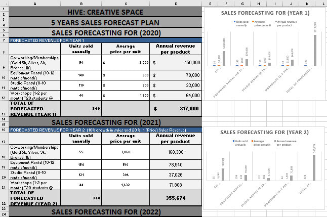 I will do financial consulting, financial forecasting and modeling