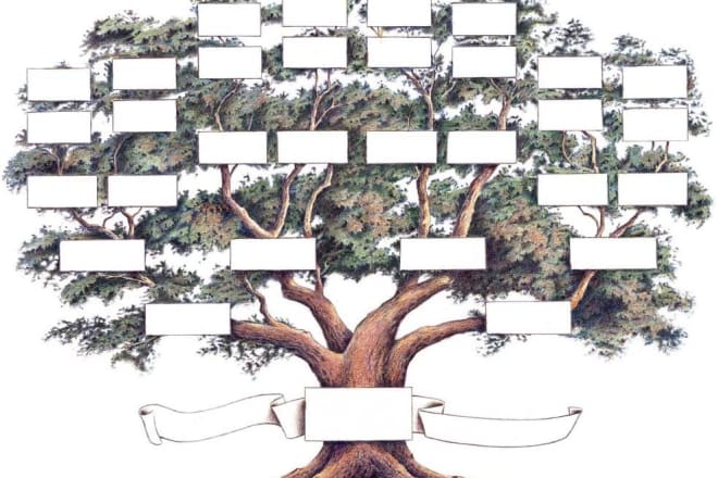 I will do genealogical research and create your family tree