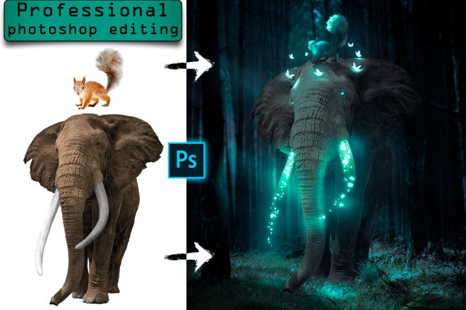 I will do high quality photoshop editing or photo manipulation