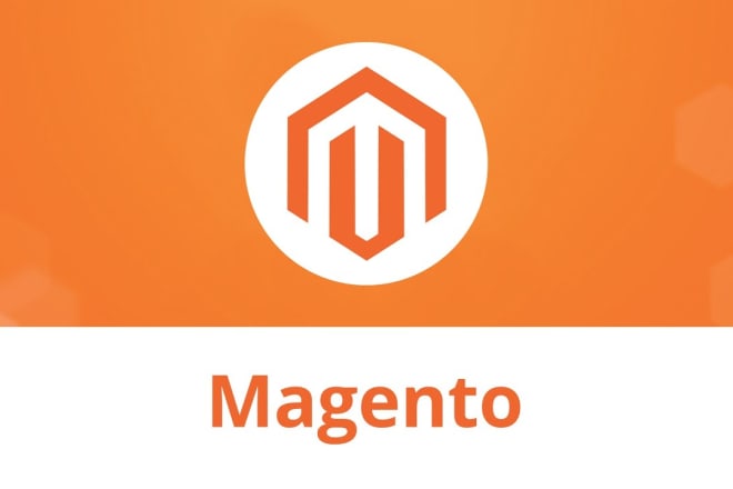 I will do magento 2 development and customization