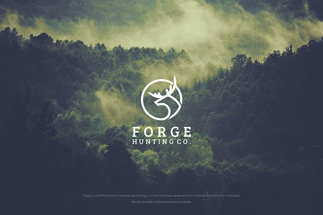 I will do modern minimalist business logo design