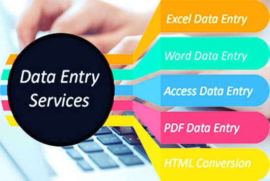 I will do online and offline data entry work