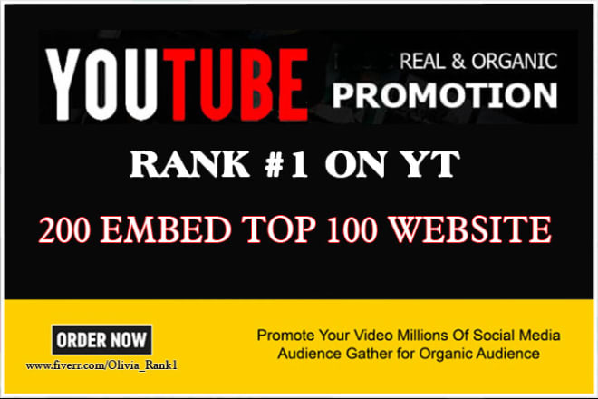 I will do organic youtube video promotion