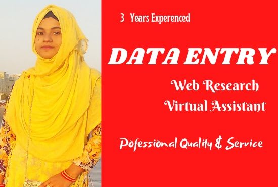 I will do professional data entry job for any USA company