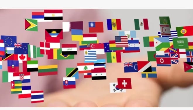 I will do professional language translation, english to spanish