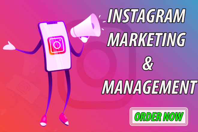 I will do professionally organic instagram marketing