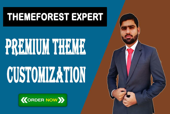 I will do themeforest wordpress theme install and customize 24 hrs