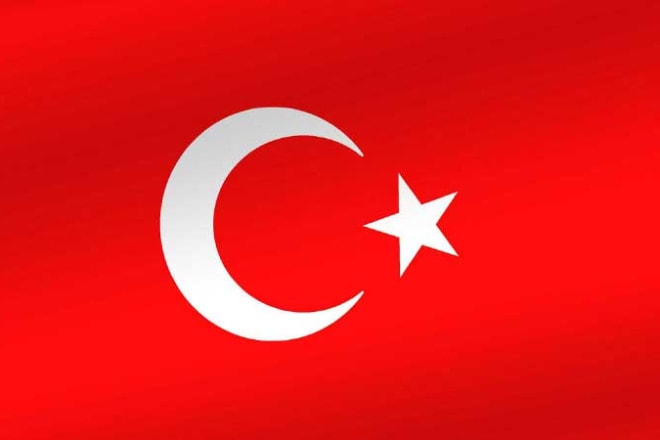 I will do turkish english translation