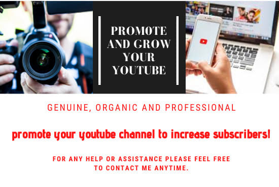 I will do youtube promotion with social ads to increase subscriber