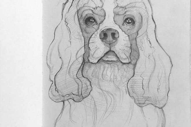 I will draw a custom pet portrait, dog portrait, cat portrait