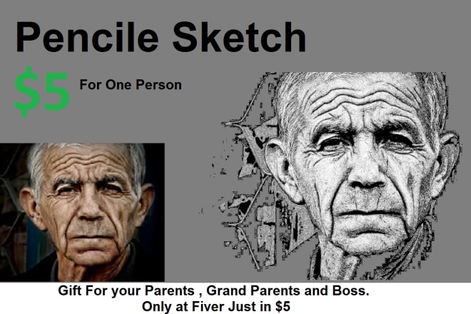 I will draw realistic, pencil, sketch, portrait full body picture