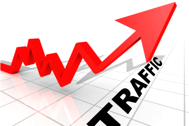 I will drive 1000 traffic on your website in a day