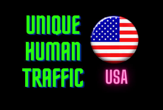 I will drive 30,000 USA traffic to your website plus free online ads ebook