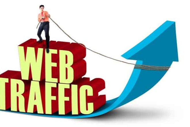 I will drive real and active human traffic to your blog
