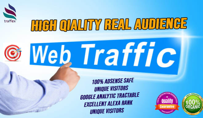 I will drive USA targeted organic web traffic