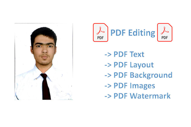 I will edit, format and modify PDF document