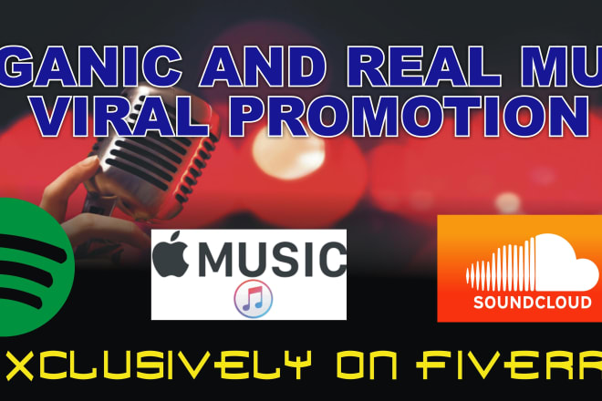 I will execute organic viral music promotion service, music promo