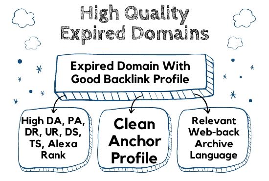 I will find high quality expired domains with traffic