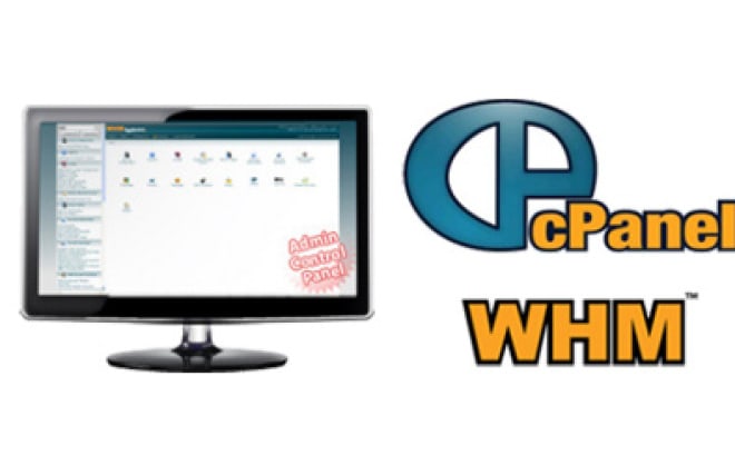 I will fix cpanel whm plesk server vps issues