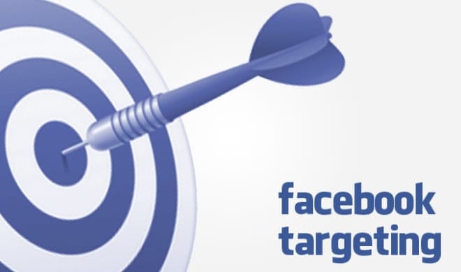 I will get you laser target audience instantly for facebook ads