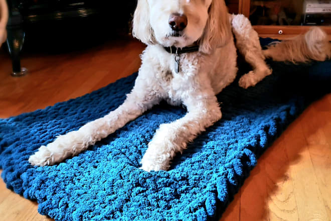 I will handcraft a pet blanket for your furry friend