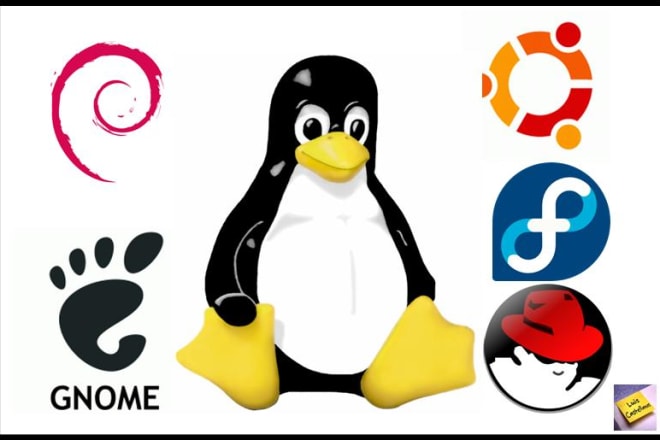 I will help you on any tasks on unix and linux server