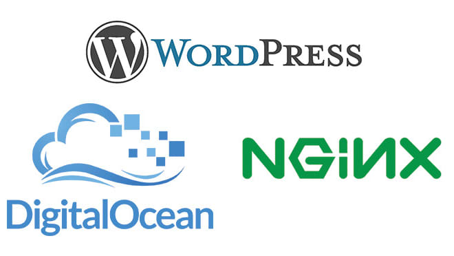 I will install wordpress in digital ocean,vultr,linode, hetzner,upcloud
