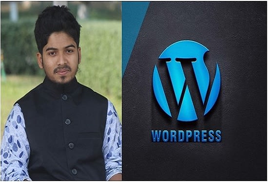 I will install wordpress, set up theme and customize