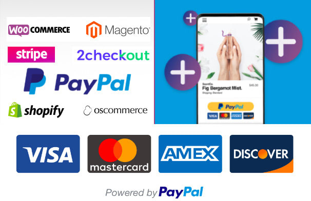 I will integrate paypal or stripe on your website