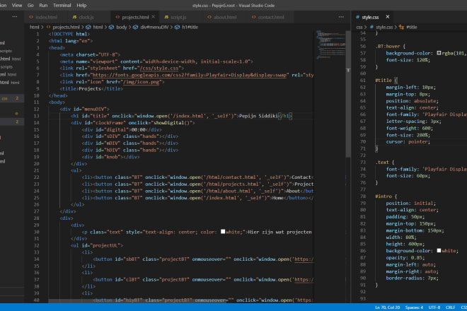 I will make a basic website with some javascript
