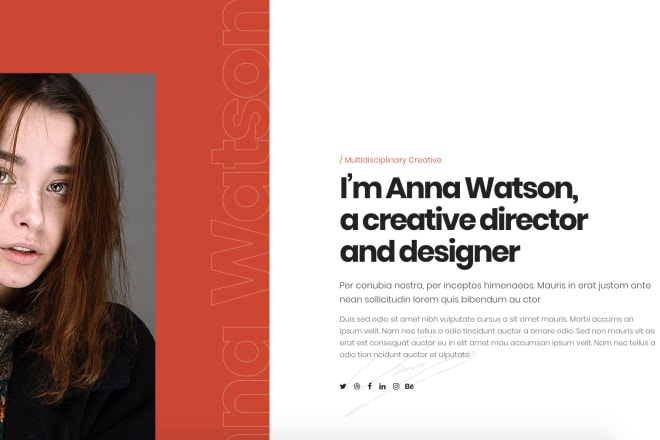 I will make a beautiful resume, portfolio, cv website
