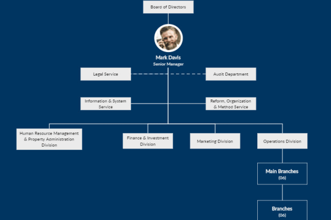 I will make flow chart and organizational charts in ms visio