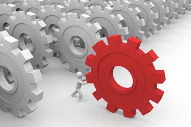 I will make fully automated video blog on your domain