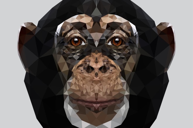 I will make triangulations in vector portrait