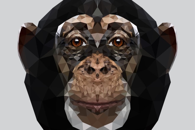 I will make triangulations in vector portrait