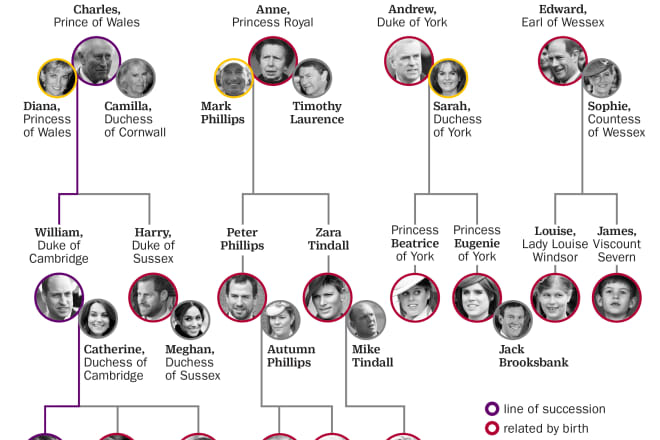 I will make your family tree