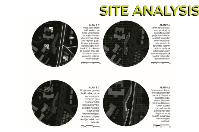 I will make your site analysis