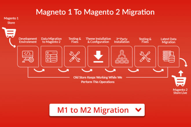 I will migrate magento 1 to magento 2 latest with custom theme design