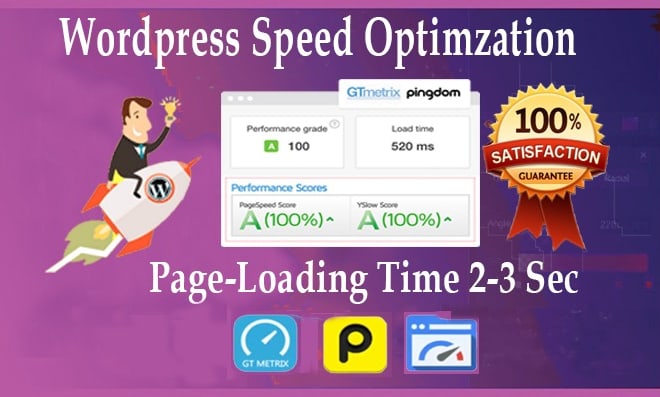 I will optimize gtmetrix score and google page speed insights